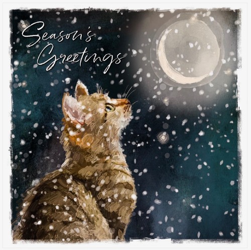 Charity christmas card - card, ~