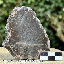 Cut & Polished Yorkshire