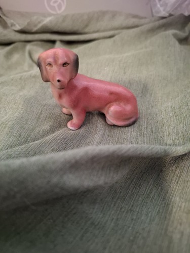Miniature dachshund - #20,