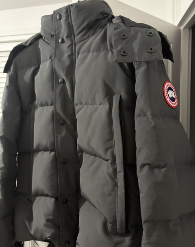 Canada goose grey men - goose,