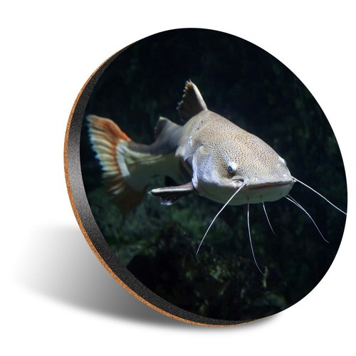 Round 12cm coaster - 1,