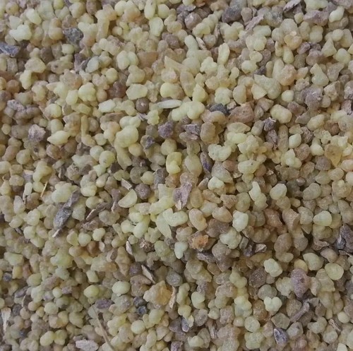 Frankincense resin top grade - resin,