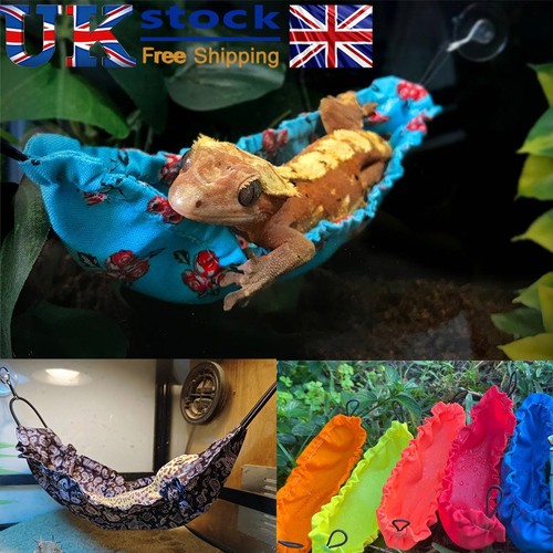 Reptile hammock lizard - hammock,