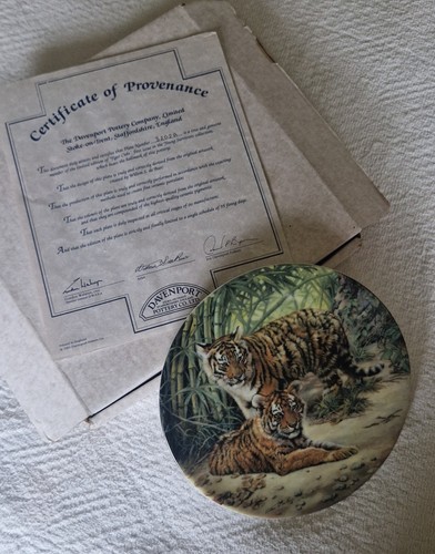 Davenport pottery plate - pottery,