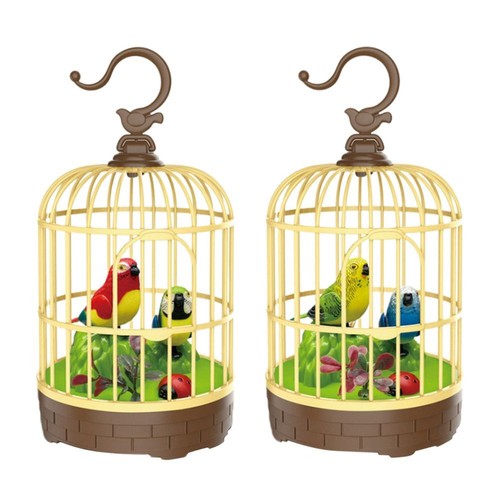 Singing chirping bird in a - &,