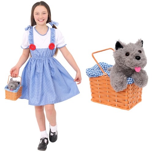 Kansas girl costume with - kansas,