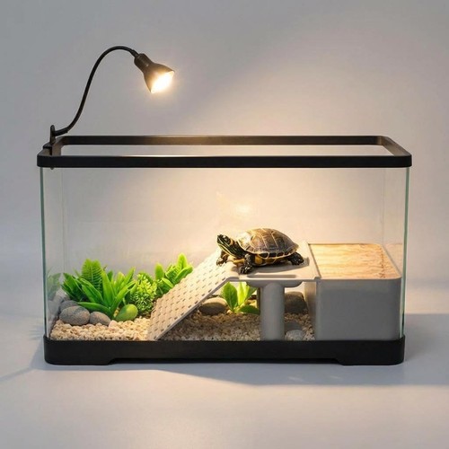 Acrylic turtle tank kit - turtle,