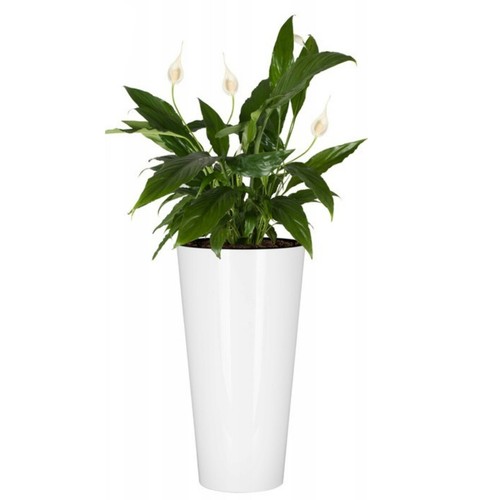 Planter plant pot - plant, flowerpot