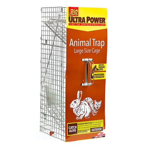 The big cheese animal - the, trap
