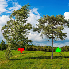 Tree Stake Kit – Heavy Duty