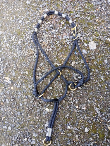 Monty roberts nice halter - roberts, be