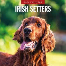 Irish Setters 2026 Square Wall