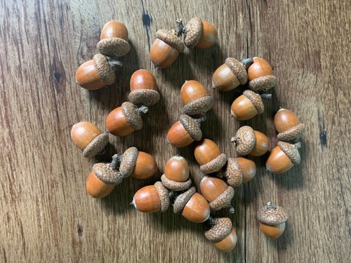 Acorns with caps red - with, oak,