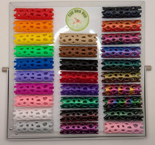 Magnetic Jumping spider