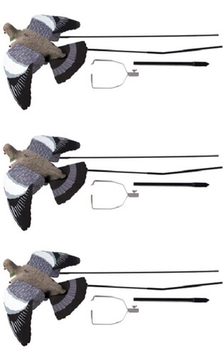 Ultimate flying pigeon - flying,