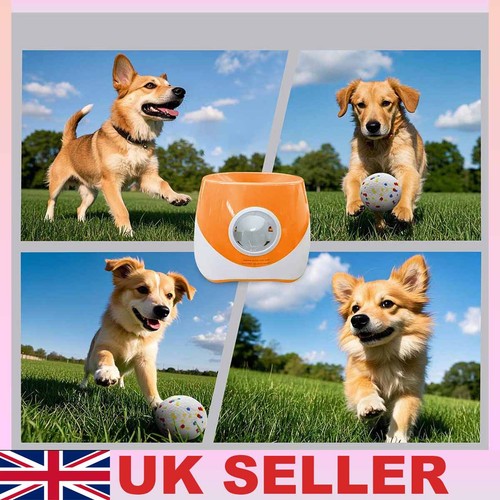 Pet automatic ball - automatic,