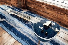 Professional Indian Sitar