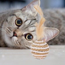 6Pcs Interesting Cat Toys Cat Toys Funny Kicking Household cat kicking toy