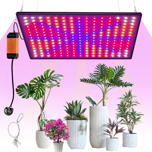 2000w led grow - grow, light
