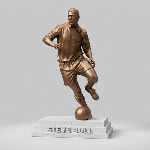 Steve bull player statue - player,