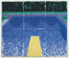 Day Pool with Three Blues David Hockney print  11 x 14 mount SUPERB