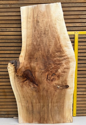 Large figured poplar - poplar, live