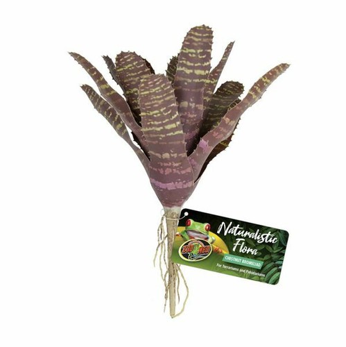 Zoo med naturalistic flora - zoo,