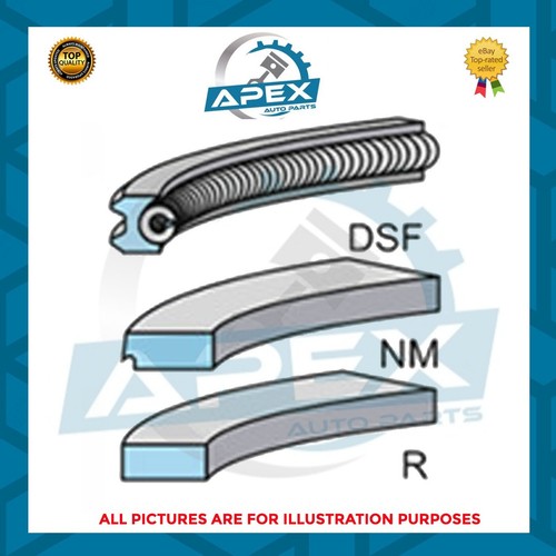 Diesel piston ring - 2.0,