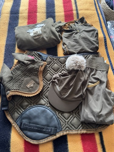 Mini mieux alpine pony - le,
