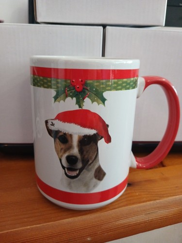 Jack russell terrier - russell,