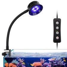 Marine Aquarium Saltwater