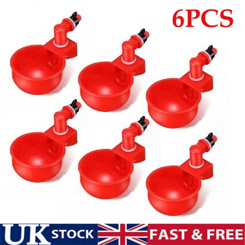 6pcs automatic chicken - 6pcs,