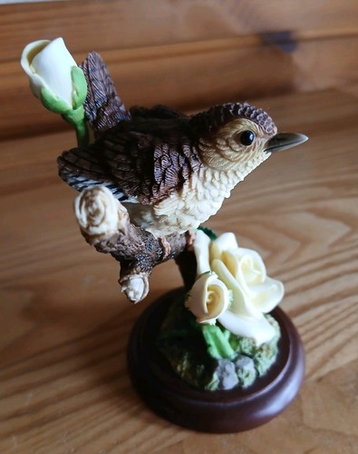 Border fine arts - wren, on