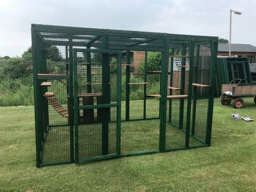 Spacious 6ft 9ft outdoor cat - spacious, x