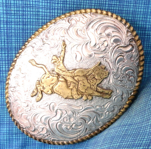 Working cowboys rodeo bull - rodeo,