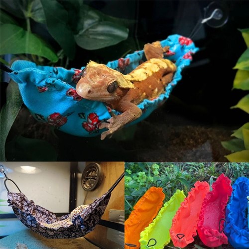 Reptology lizard hammock with - hammock,