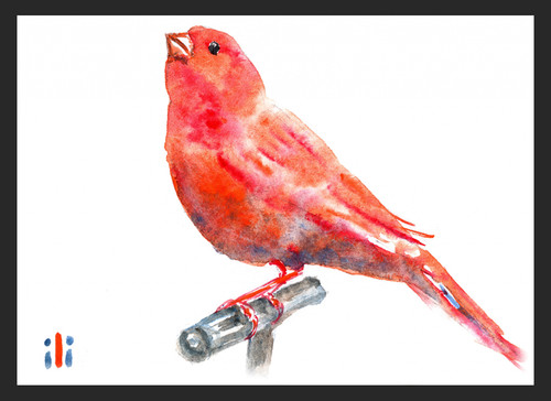 Aceo watercolor painting print - aceo,