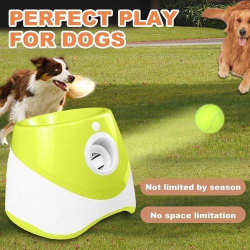 Dog automatic ball - dog,