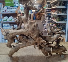Gnarly Scapers Wood Aquarium