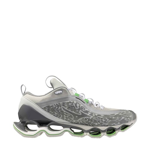 Mizuno wave prophecy 2 - wave,