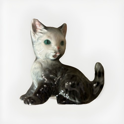 Goebel grey tabby kitten with - grey,