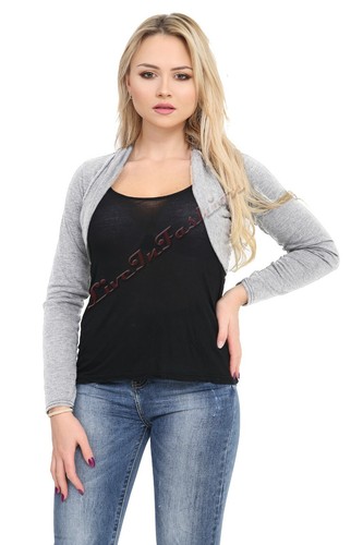 Ladies long sleeve - ladies,