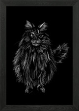 Cat Maine Coon Framed Wall Art