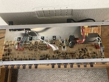 FENDER Accousasonic 100