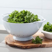 Zeal Kitchen Colander