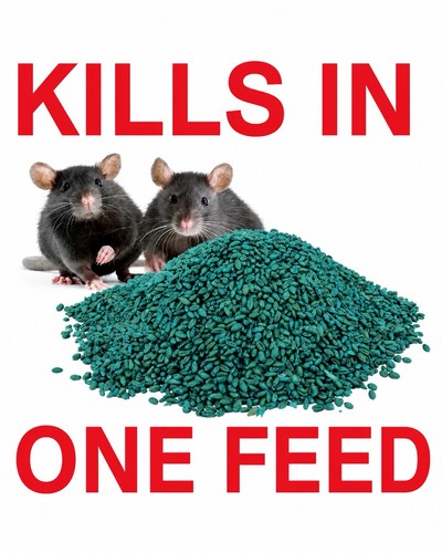 Rodent poison bait killer - bait,