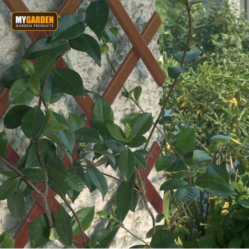Expanding brown wooden trellis - wooden,