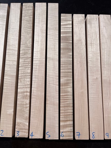 Curly flame maple 55mm - curly, 48-55mm