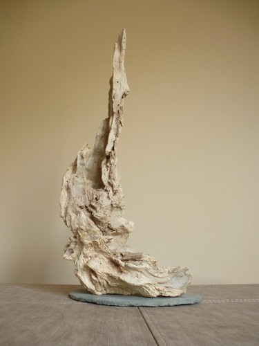 Driftwood sculpture 48cm high - sculpture,