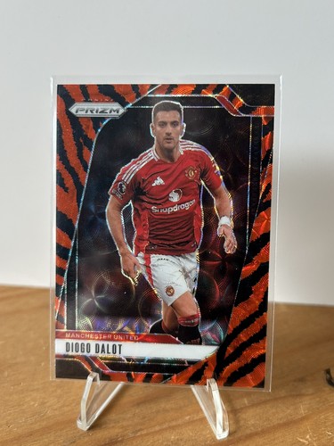 Diogo dalot manchester - manchester, utd